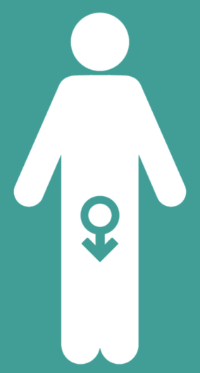 Male helplessness and increase in a member