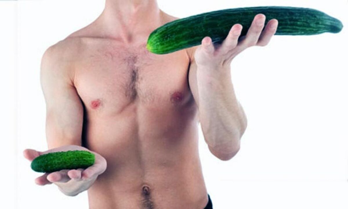 big and small size of cock on the example of cucumbers